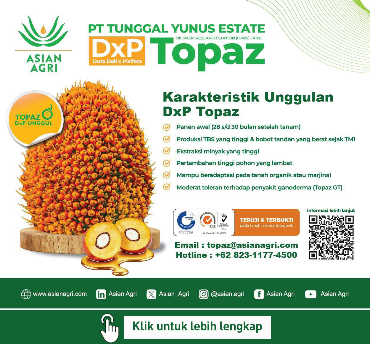 InfoSAWIT